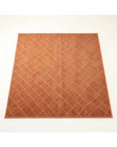 Shore Canyon Rectangular Area Rug - Terracotta (synthetic illustration; no displayed measurements)