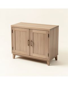 Jace 2 Door Accent Cabinet (synthetic illustration; no displayed measurements)