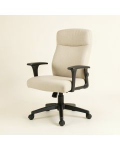 Aricia Home Office Executive Chair (synthetic illustration; no displayed measurements)