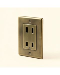 Pineapple 1-Gang Duplex Outlet Wall Plate (synthetic illustration; no displayed measurements)