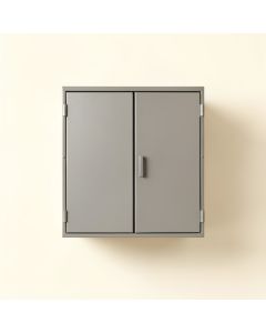 Briar Bluff Wall-Mounted Laundry Cabinet - Gray (synthetic illustration; no displayed measurements)