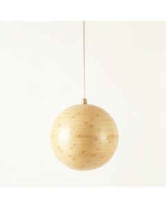 Rowan Crossing Pendant Light Suspended From One Plain Cable - Beige (synthetic illustration; no displayed measurements)