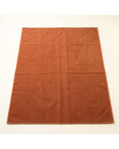 Lake Bridge Rectangular Area Rug - Terracotta (synthetic illustration; no displayed measurements)