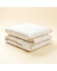 Wayfair Basics® Reversible Quilt Set (synthetic illustration; no displayed measurements)
