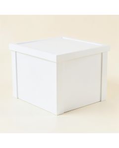 Briar Brook Closed Outdoor Storage Box - White (synthetic illustration; no displayed measurements)