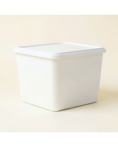 Holly Crossing Closed Outdoor Storage Box - White (synthetic illustration; no displayed measurements)