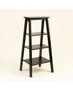 Ame Ladder Bookcase (synthetic illustration; no displayed measurements)