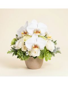 14 '' Hx19 '' W Phalaenopsis Orchid & Sedum Silk Flower Arrangement -White (synthetic illustration; no displayed measurements)