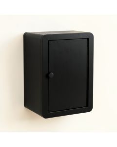 Field Dale Wall-Mounted Laundry Cabinet - Black (synthetic illustration; no displayed measurements)