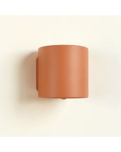 Birch Arc Wall Sconce Mounted On A Plain Wall (synthetic illustration; no displayed measurements)