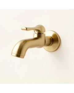 Cassidy Wall Mounted Bathroom Faucet (synthetic illustration; no displayed measurements)