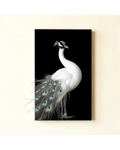 White Peacock On Black - Print On Canvas (synthetic illustration; no displayed measurements)
