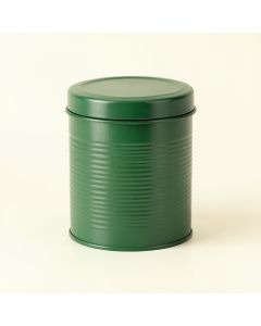 Glen Canyon Storage Canister With Lid - Green (synthetic illustration; no displayed measurements)