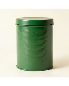 Fern Canyon Storage Canister With Lid - Green (synthetic illustration; no displayed measurements)