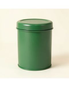 Reed Crossing Storage Canister With Lid - Green (synthetic illustration; no displayed measurements)