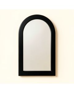 Shore Branch Framed Wall Mirror - Black (synthetic illustration; no displayed measurements)