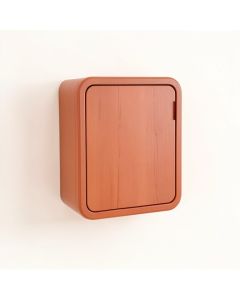 Maple Dale Wall-Mounted Laundry Cabinet - Terracotta (synthetic illustration; no displayed measurements)