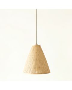 Field Brook Pendant Light Suspended From One Plain Cable - Beige (synthetic illustration; no displayed measurements)