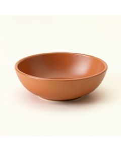 Birch Arc Dining Bowl (synthetic illustration; no displayed measurements)