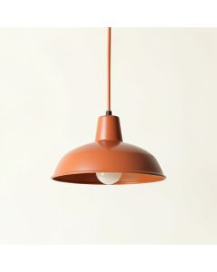 Cliff Arc Pendant Light Suspended From One Plain Cable (synthetic illustration; no displayed measurements)