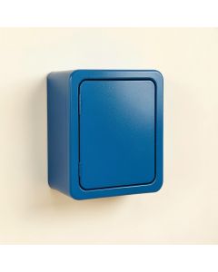 Cedar Dell Wall-Mounted Entry Cabinet - Blue (synthetic illustration; no displayed measurements)