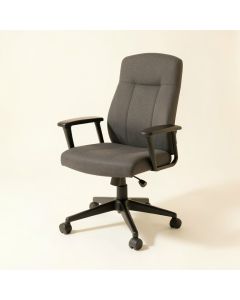 Fashion Casual Work Beauty Salon Ergonomic Task Chair (synthetic illustration; no displayed measurements)