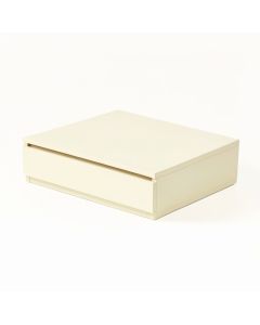 Pine Crossing Desktop Monitor Riser - Cream (synthetic illustration; no displayed measurements)