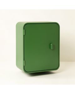 Oak Dell Wall-Mounted Laundry Cabinet - Green (synthetic illustration; no displayed measurements)