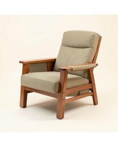 Palantoni 37.7 '' Wide Power Lift Assist Standard Recliner (synthetic illustration; no displayed measurements)