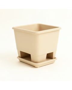 Olive Crest Empty Raised Planter - Beige (synthetic illustration; no displayed measurements)