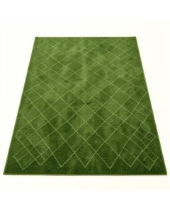 Shore Crest Rectangular Area Rug - Green (synthetic illustration; no displayed measurements)