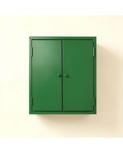 Brook Bluff Wall-Mounted Entry Cabinet - Green (synthetic illustration; no displayed measurements)