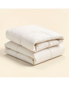 Aeden Comforter Set (synthetic illustration; no displayed measurements)