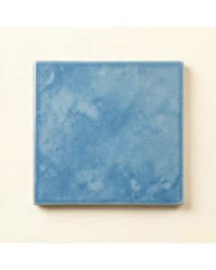 Field Branch Uninstalled Square Decorative Tile - Blue (synthetic illustration; no displayed measurements)
