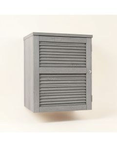 Reed Dale Wall-Mounted Laundry Cabinet - Gray (synthetic illustration; no displayed measurements)