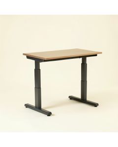 Doreatha Height Adjustable Standing Desk (synthetic illustration; no displayed measurements)