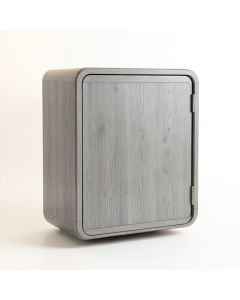 Dawn Bend Wall-Mounted Laundry Cabinet - Gray (synthetic illustration; no displayed measurements)
