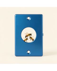 A Bees Nest Up Close With Three Bees Working On It 2-Gang Toggle Light Switch Wall Plate (synthetic illustration; no displayed measurements)