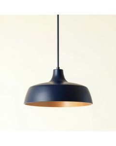 Juniper Arc Pendant Light Suspended From One Plain Cable (synthetic illustration; no displayed measurements)
