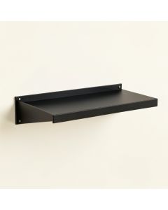 Briar Arc Wall-Mounted Shelf (synthetic illustration; no displayed measurements)