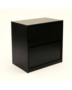 Carr Hall 2 -Drawer Filing Credenza (synthetic illustration; no displayed measurements)