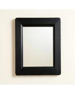 Cove Brook Framed Wall Mirror - Black (synthetic illustration; no displayed measurements)