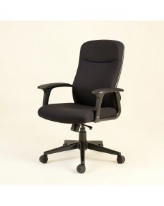 Dillsboro Executive Chair (synthetic illustration; no displayed measurements)