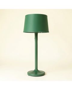 Ridge Crossing Floor Lamp With A Plain Fabric Shade - Green (synthetic illustration; no displayed measurements)