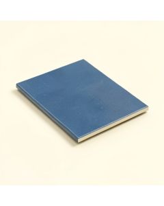 Amagansett 2 '' X 8 '' Ceramic Subway Tile (synthetic illustration; no displayed measurements)