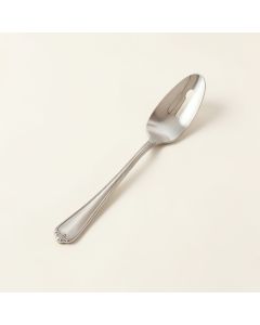 Dressed Cake / Pastry Server (synthetic illustration; no displayed measurements)