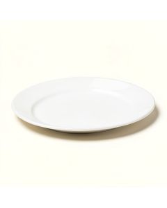Free Style Turtle Oval Serving Platter (synthetic illustration; no displayed measurements)