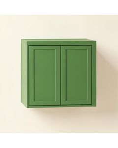 Brook Branch Wall-Mounted Laundry Cabinet - Green (synthetic illustration; no displayed measurements)
