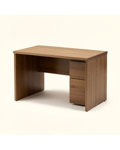 Catelyn Rectangular Writing Desk (synthetic illustration; no displayed measurements)