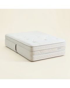 10 '' Plush Pillow Top Mattress And Box Spring Set (synthetic illustration; no displayed measurements)